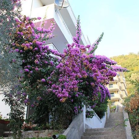 4M Apartments Petrovac 외부 사진