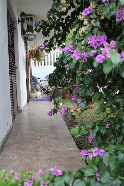 4M Apartments Petrovac 객실 사진