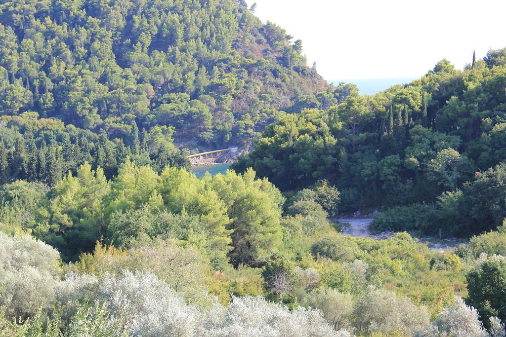 4M Apartments Petrovac 객실 사진
